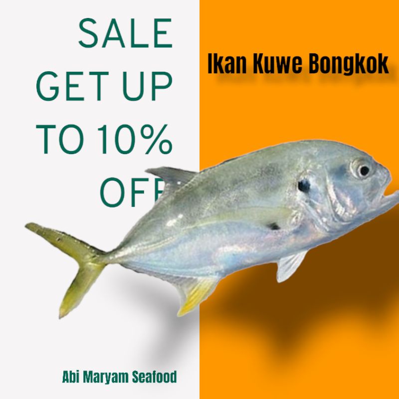 

Ikan Kuwe Bongkok Fresh Berkualitas 1kg