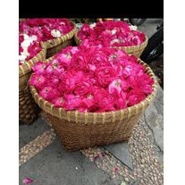 BUNGA TABUR CAMPUR/ BUNGA TABUR SEMARANG