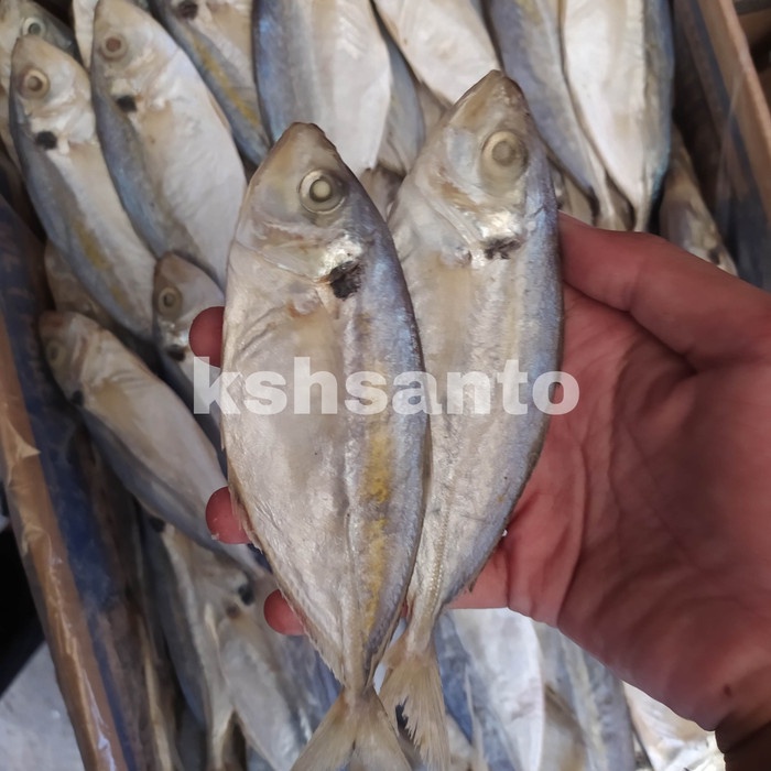 

Vs201Vv Ikan Asin Selar Super-500Gram Dscscv