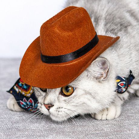 Topi Kucing Anjing Lucu Stylish Menjadikan Tampilan Hewan Peliharaan Lebih Menarik dan Fashionable FEFARM