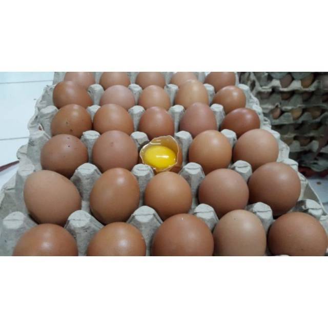 

RB Telur Ayam Negeri Coklat Fresh Per-Kg