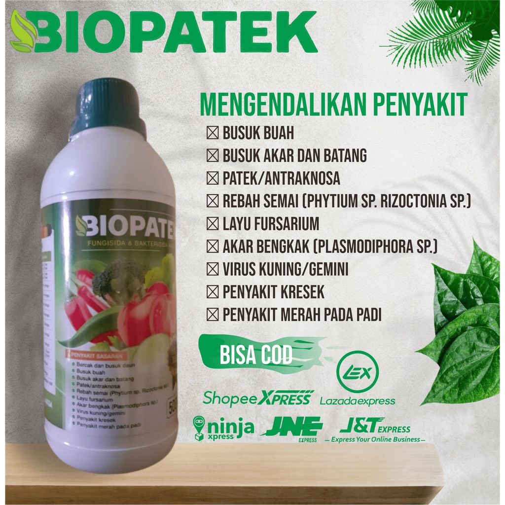 Biopatek Obat Semprot Hama Kuning Kerdil Daun Padi Terampuh - Terbaru Obat Hama Kuning Kerdil Daun P