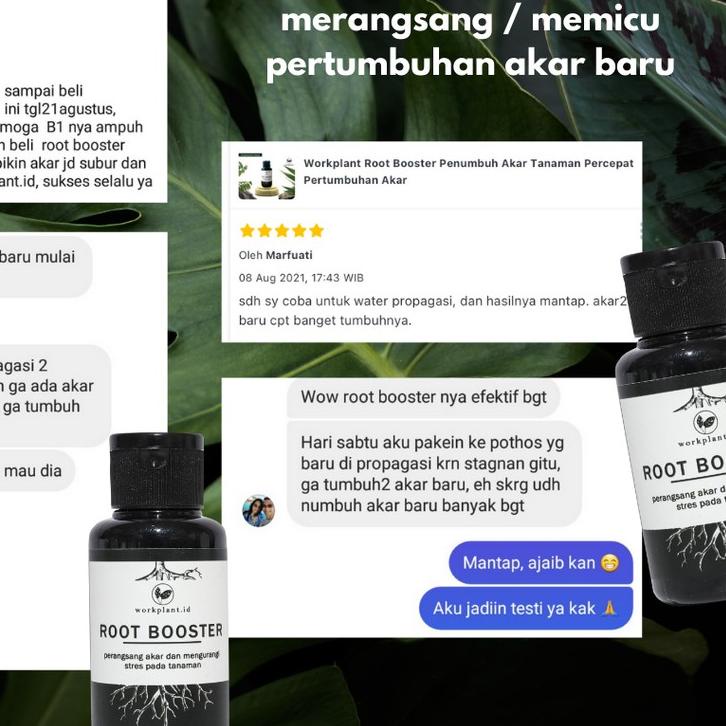 Workplant Root Booster - Perangsang Akar Penumbuh/ Akar Tanaman Hias 60ml