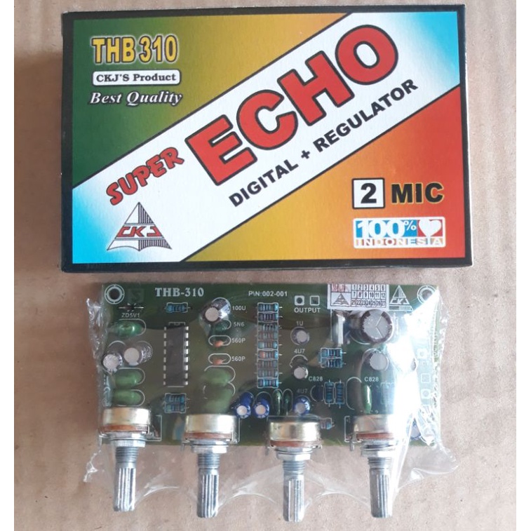Kit super digital echo plus regulator 2 mic CKJ THB310