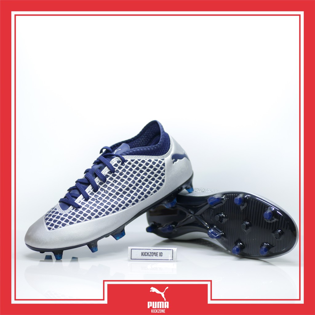 Sepatu Bola Puma Future 2.4 FG AG Silver Original 10483904