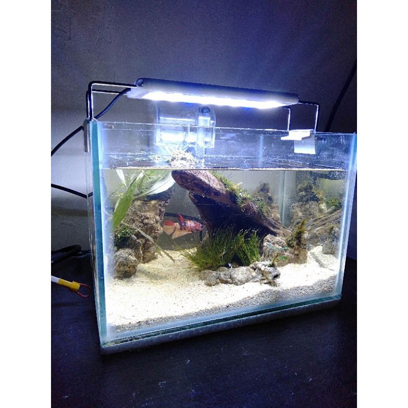 aquascape mini fullset