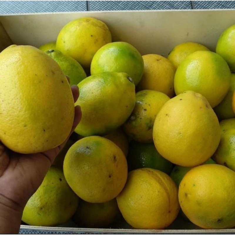 

Lemon Organik Super 1kg
