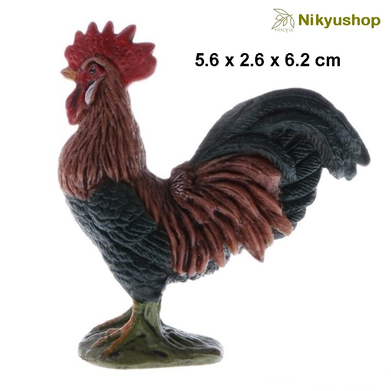 840+ Gambar Binatang Ayam Jantan Terbaru