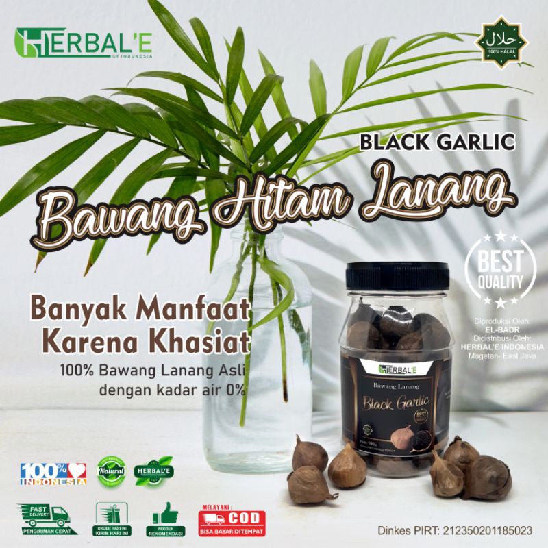 

Bawang Hitam Lanang herbal e|Black garlic Tunggal|Bawang Hitam