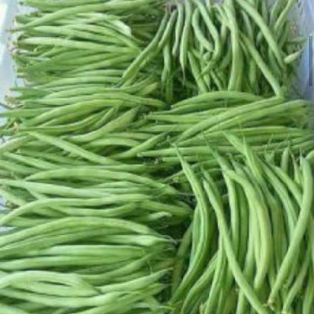 

Jual buncis kiloan TERMURAH !!!