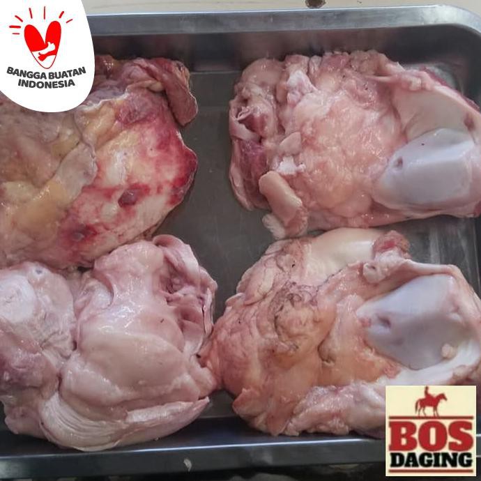 

[[BISA COD]] Dengkul sapi untuk sop rawon dijamin fresh segar