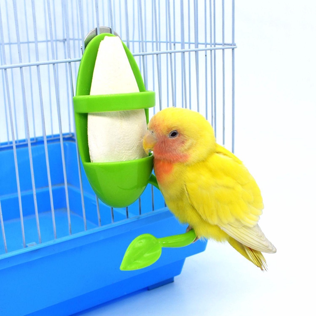 Top Nuri Feeder Green Parkit Budgie Burung Cockatiel Bermain Perlengkapan Mainan Ayunan Gantung