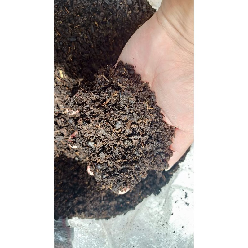 Media Tanam PUPUK Klenteng Randu