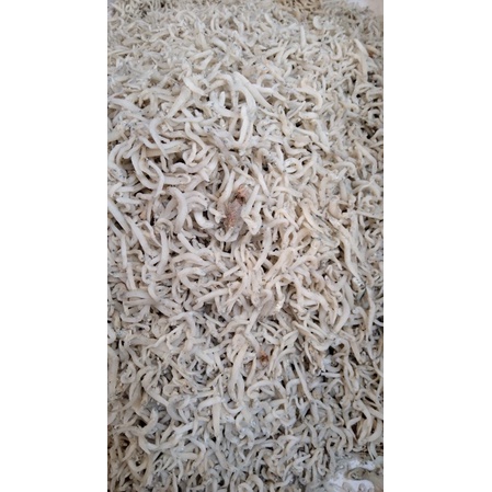 

ikan teri nasi