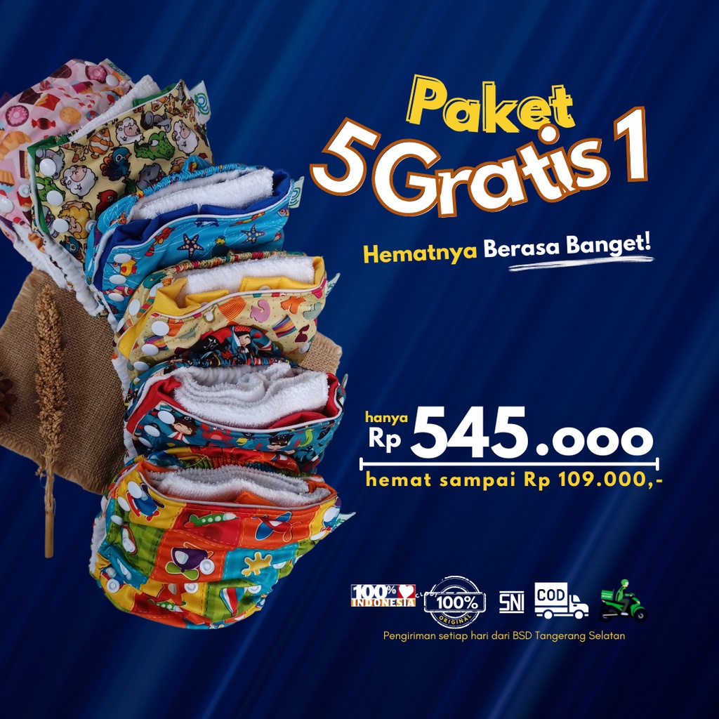 [Paket 5 GRATIS 1] Popok bayi cuci ulang Clodi GG