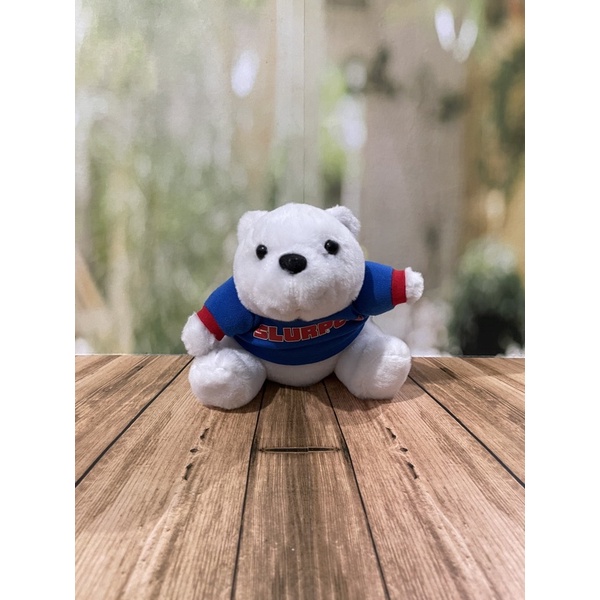 boneka beruang putih/ice bear boneka/beruang boneka/teddy bear