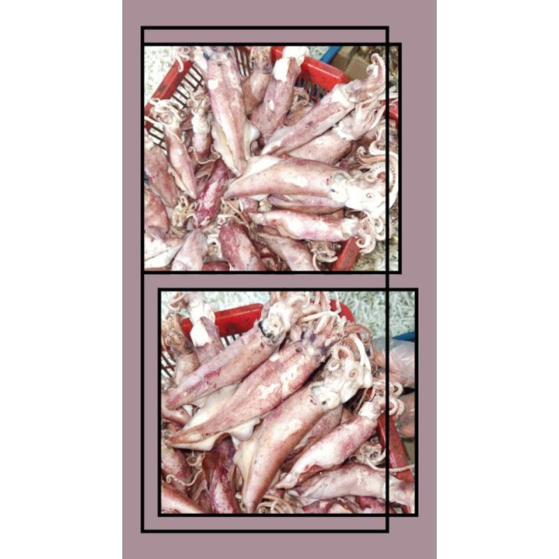 

IKAN ASIN CUMI 1KG