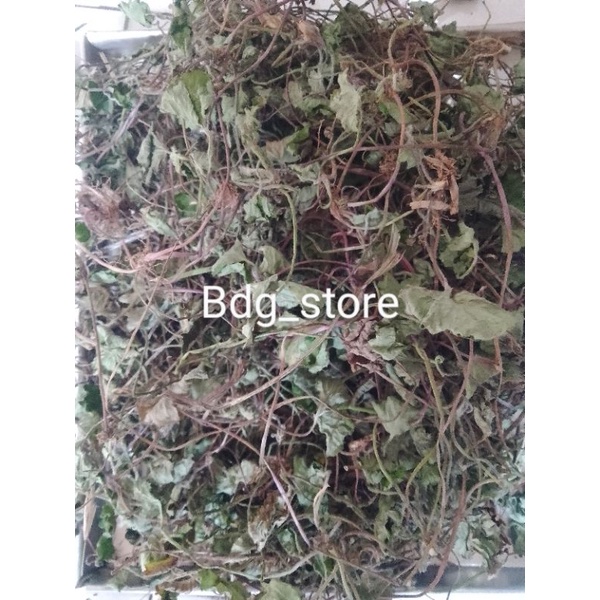 

daun antanan atau pegangan kering 500 GRAM