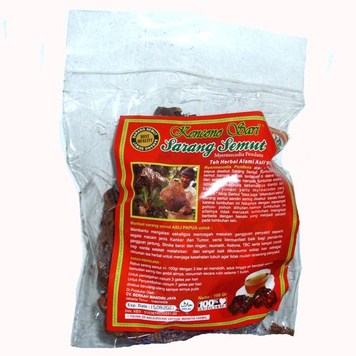 Herbal Sarang Semut  Papua 100 gr  Mengobati kanker otak, Hidung, Liver, usus, Rahim, Paru-paru, Prostat