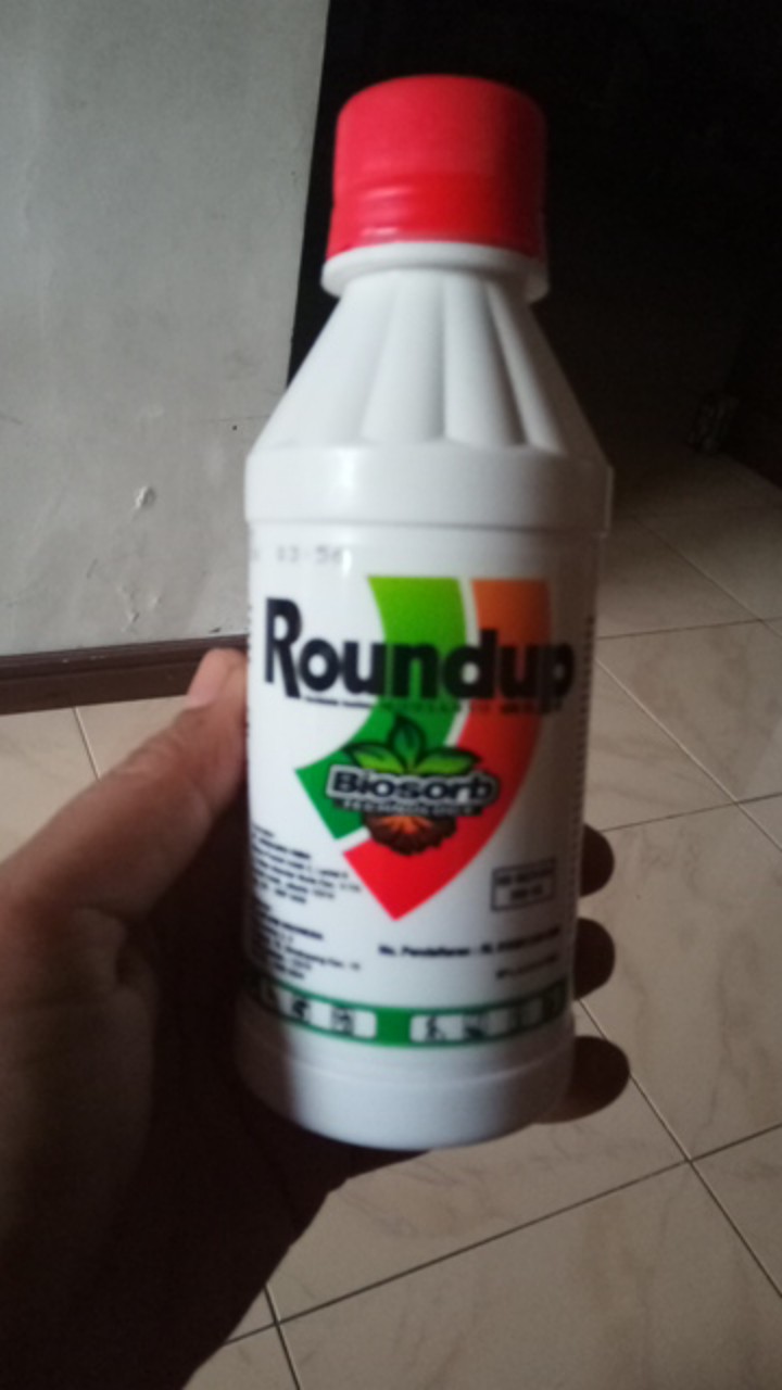 Roundup Round Up 486 Sl Pembasmi Rumput 200ml