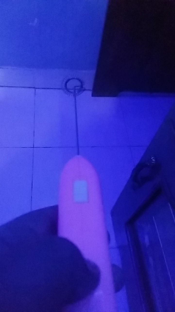 Coffee Frother / Mini Hand Mixer F-016 / Whisk Portable / Alat Aduk Mini