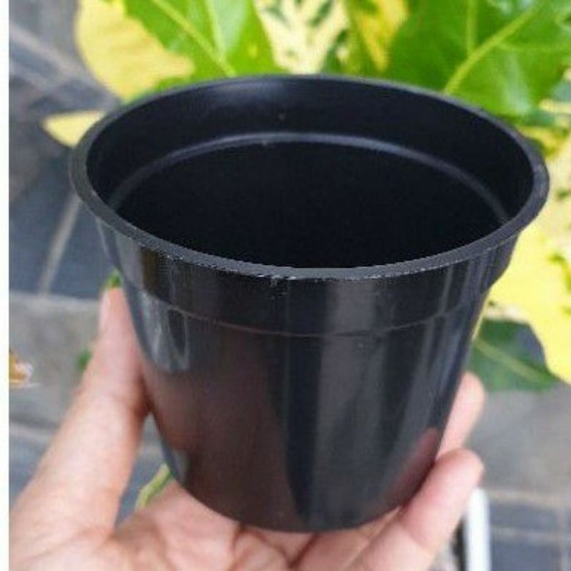 Pot hitam plastik murah 15cm / pot murah / pot kecil murah /pot hitam plastik
