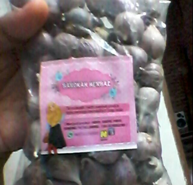 

Bawang putih tunggal (lanang)