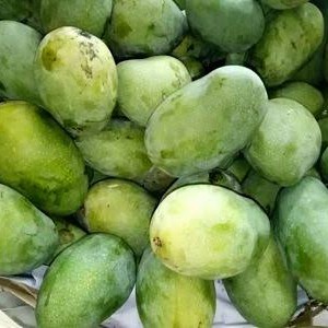 

Buah Mangga Arum Manis - 1 Kg