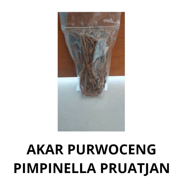 

AKAR PURWOCENG KERING ASLI 100GRAM BEST QUALITY