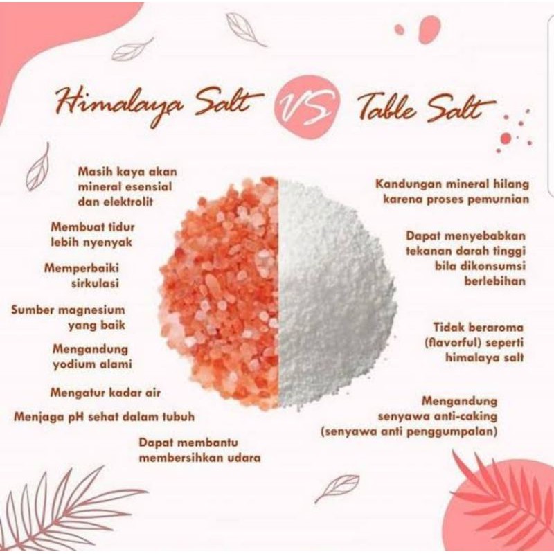 Garam Himalaya 100 gram Natural Pink Himalayan Salt Fine Halus 100gram