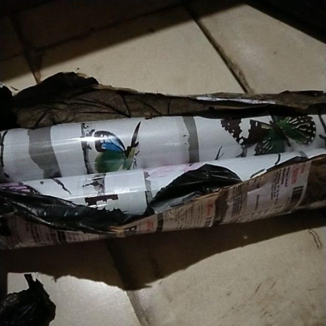 Wallpaper Kupu Kupu 10 M X 45 Cm [ Cy 1053 ]