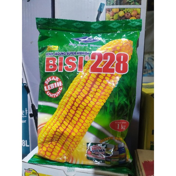 Benih jagung bisi 228 (1kg)