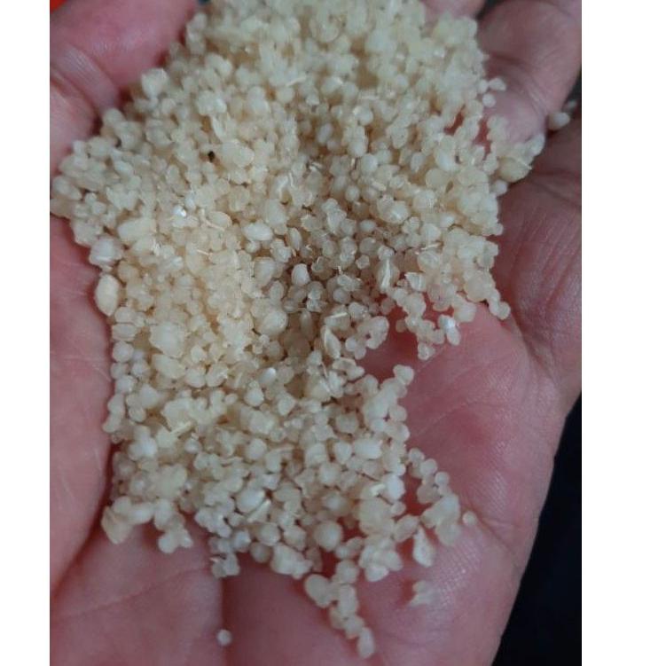 

XUOV [ 1 KG ] OYEK SINGKONG ASLI / OYEK TIWUL / MAKANAN PENGGANTI NASI IL97 Best )人