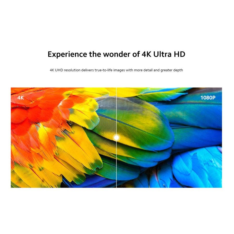 Xiaomi Mi TV P1E 65 Inch 4K UHD DolbyVision HDR10 Android Smart Digital