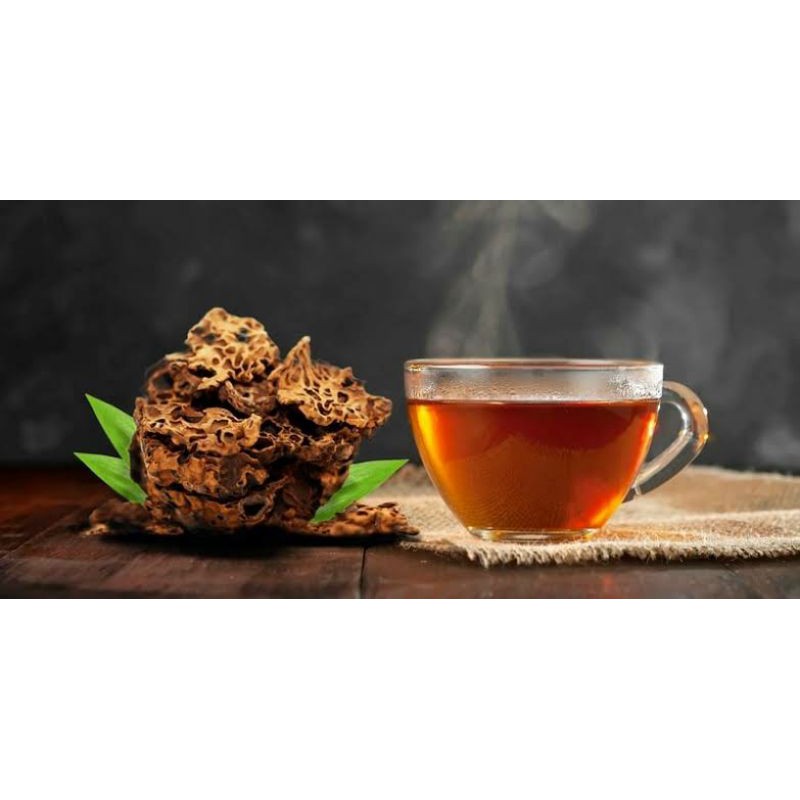 

Herbal Sarang Semut Kering Papua Termurah 100gram