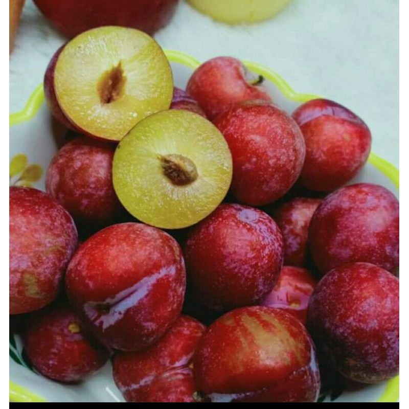 

Crispi red plum crispi 500 gram