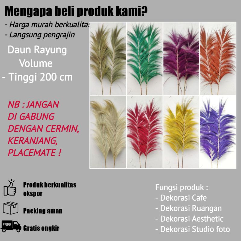 Rayung kering dekorasi/daun rayung pampas/rayung stik/dekorasi cafe/dekorasi rustic/dekorasi estetik