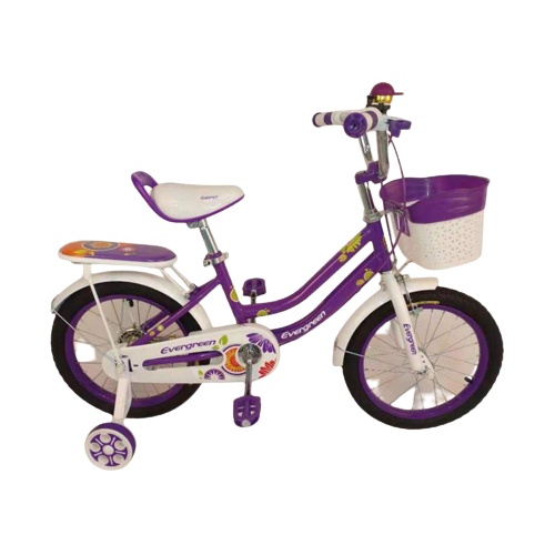 OK Sepeda Anak 12 Mini Evergreen - Daisy