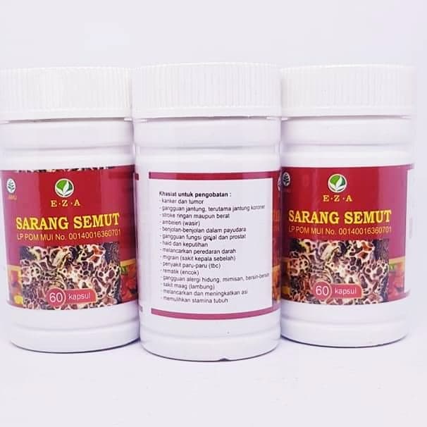 Kapsul SARANG SEMUT EZA