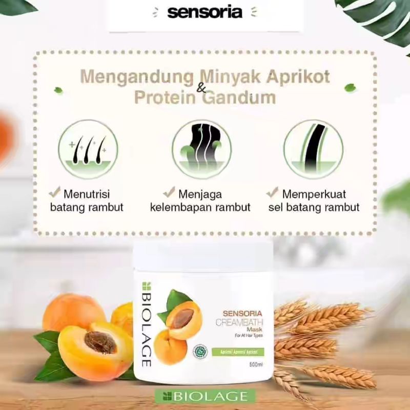 MATRIX SENSORIA Creambath Mask Apricot 500Gr