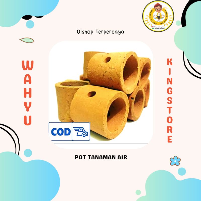 POT TANAMAN AIR / AQUASCAPE BATAM