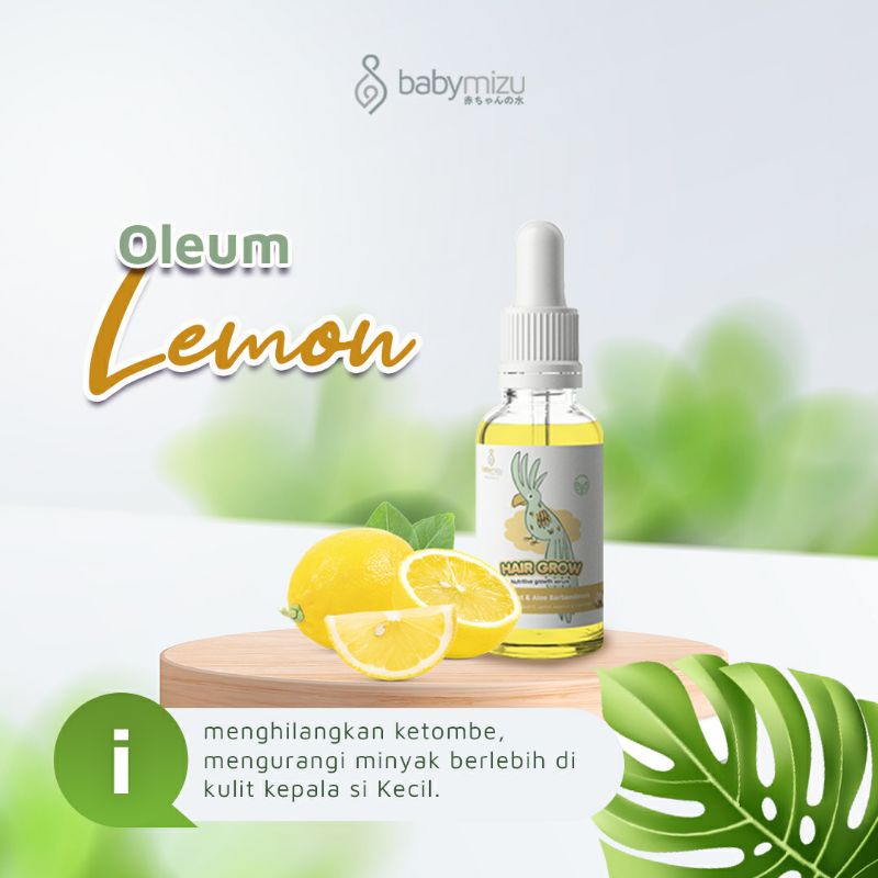 BABYMIZU Hair Grow - Serum Penumbuh Rambut Bayi dan Balita - Pelebat dan Penutrisi Kulit Kepala Bayi, Balita dan Anak (30 ml)