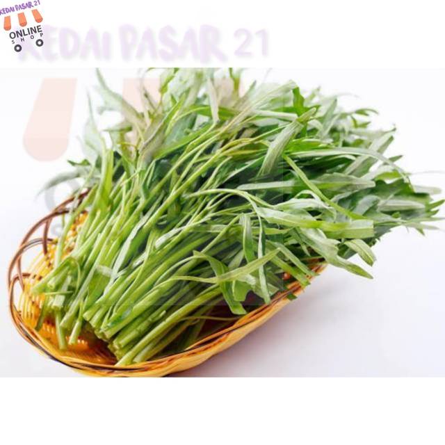 

Kedai pasar21 Grosir Sayur Kangkung Segar Ikat Kiloan Murah