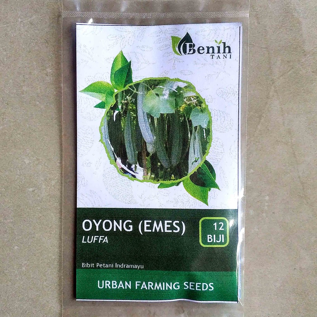 Isi 12 Biji Benih Bibit Oyong (Emes)