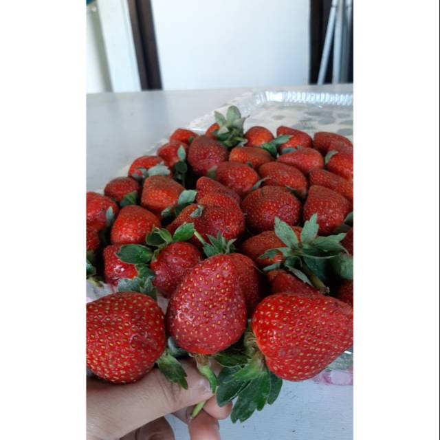 

Strawberry segar