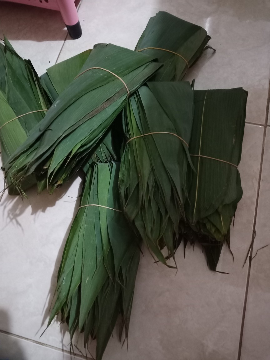 100 Lembar Daun Bambu Bungkus Bacang Bakcang