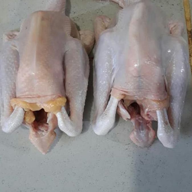 

Terhot! Ayam Kampung Muda Uk Sedang