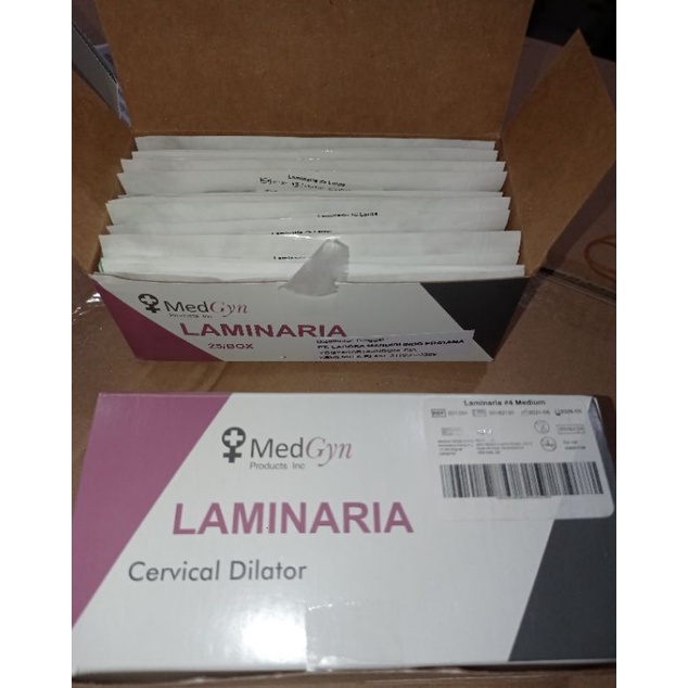 Laminaria Stiff Medgyn Cervical Dilator