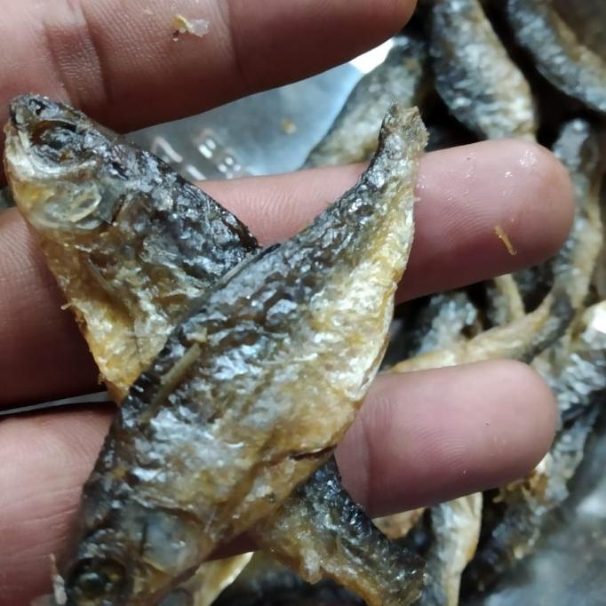 

[COD] ikan danau bilih besar (1kg) [COD]