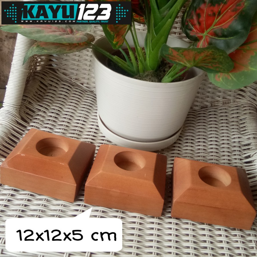 Wooden Vase 12x12 cm Vas Bunga Succulent Pot Tanaman Kaktus (WPL-09)